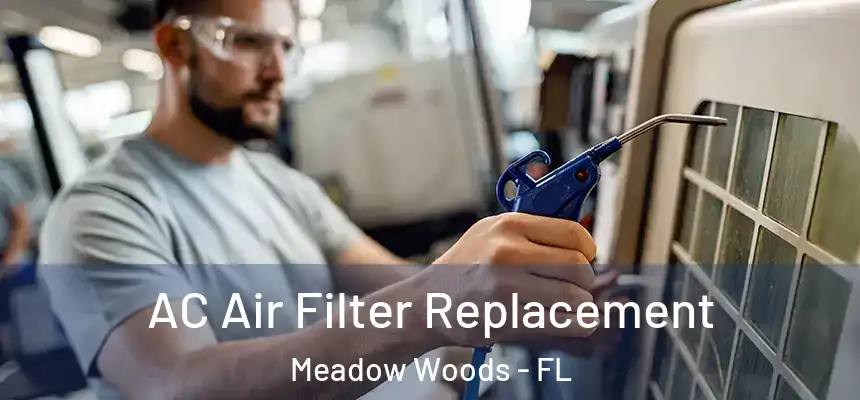 AC Air Filter Replacement Meadow Woods - FL