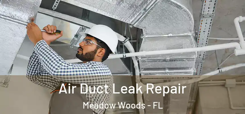 Air Duct Leak Repair Meadow Woods - FL