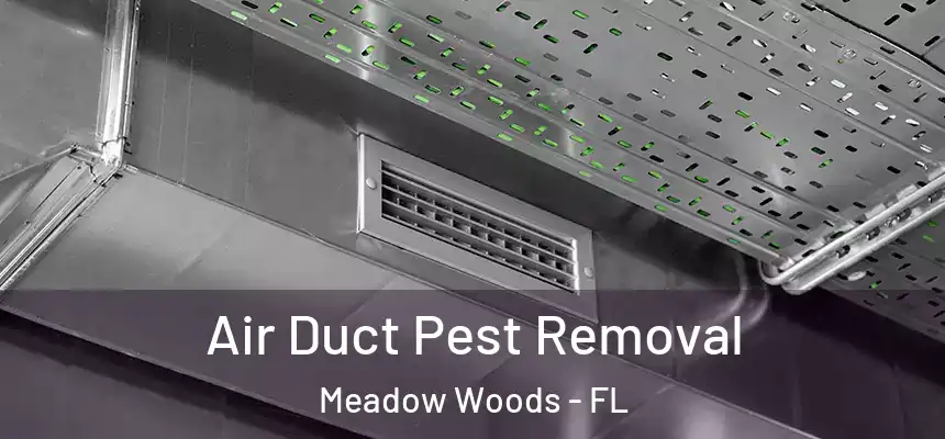 Air Duct Pest Removal Meadow Woods - FL