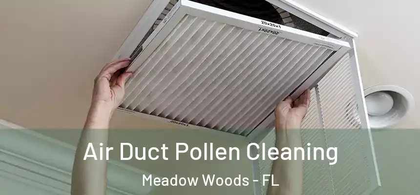 Air Duct Pollen Cleaning Meadow Woods - FL