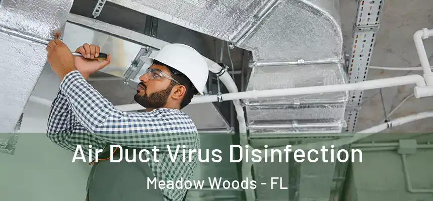 Air Duct Virus Disinfection Meadow Woods - FL