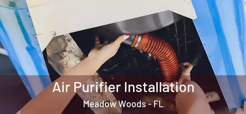 Air Purifier Installation Meadow Woods - FL