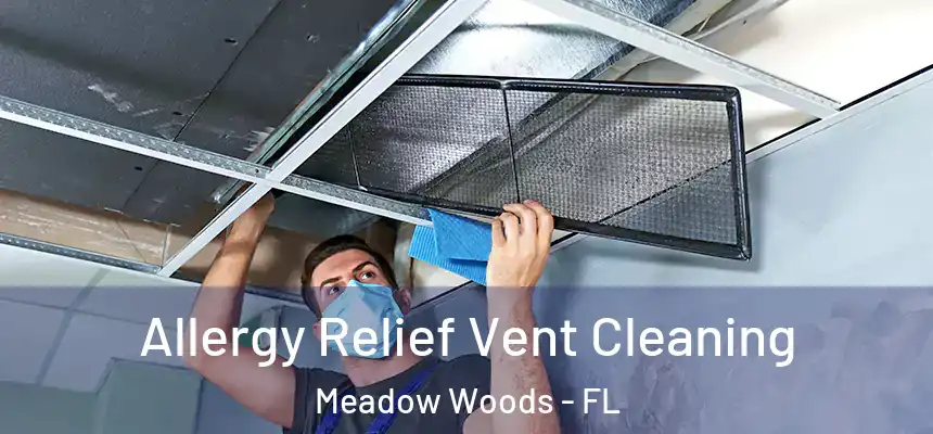 Allergy Relief Vent Cleaning Meadow Woods - FL