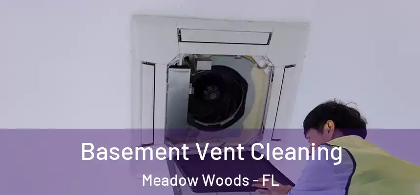 Basement Vent Cleaning Meadow Woods - FL