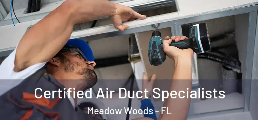 Certified Air Duct Specialists Meadow Woods - FL