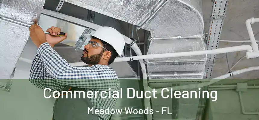 Commercial Duct Cleaning Meadow Woods - FL