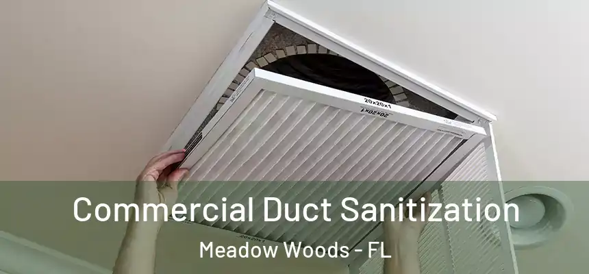 Commercial Duct Sanitization Meadow Woods - FL