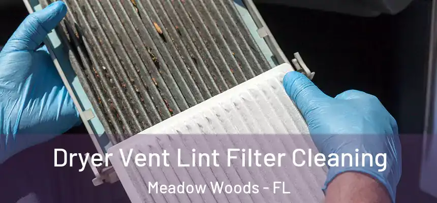 Dryer Vent Lint Filter Cleaning Meadow Woods - FL