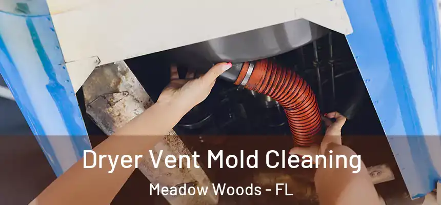 Dryer Vent Mold Cleaning Meadow Woods - FL