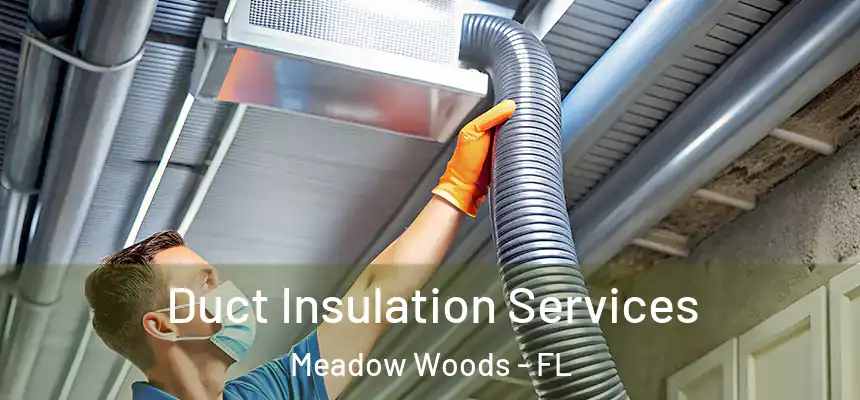 Duct Insulation Services Meadow Woods - FL