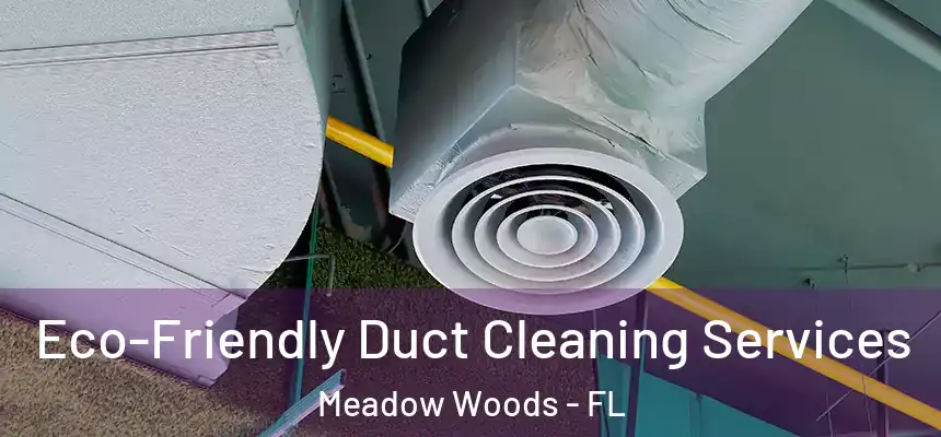 Eco-Friendly Duct Cleaning Services Meadow Woods - FL