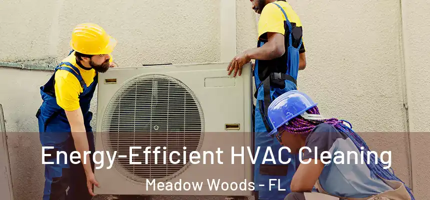 Energy-Efficient HVAC Cleaning Meadow Woods - FL