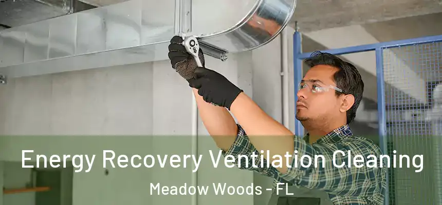 Energy Recovery Ventilation Cleaning Meadow Woods - FL