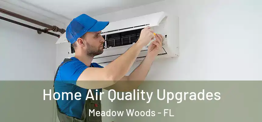 Home Air Quality Upgrades Meadow Woods - FL