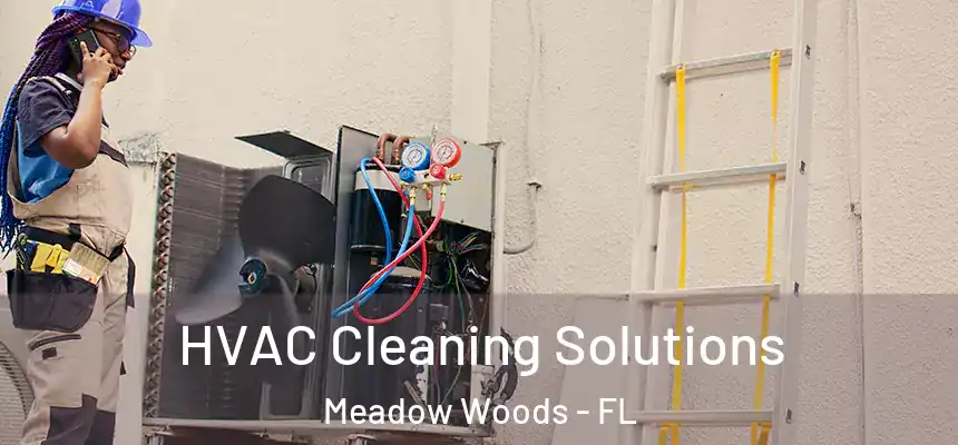 HVAC Cleaning Solutions Meadow Woods - FL