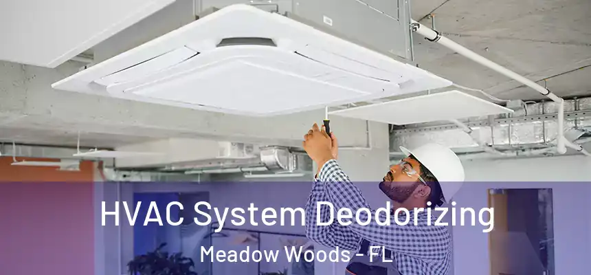 HVAC System Deodorizing Meadow Woods - FL