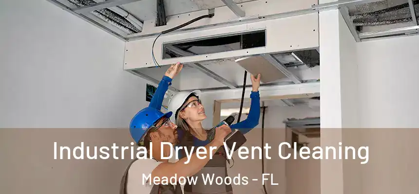 Industrial Dryer Vent Cleaning Meadow Woods - FL