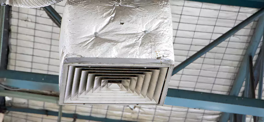 Our HVAC Mold Remediation Service Services in Meadow Woods, FL