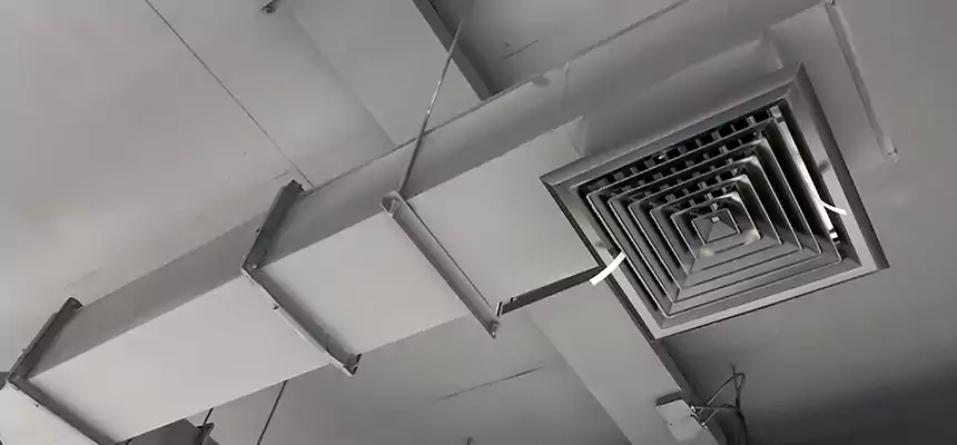 Our Rodent Droppings In Vents Services in Meadow Woods, FL