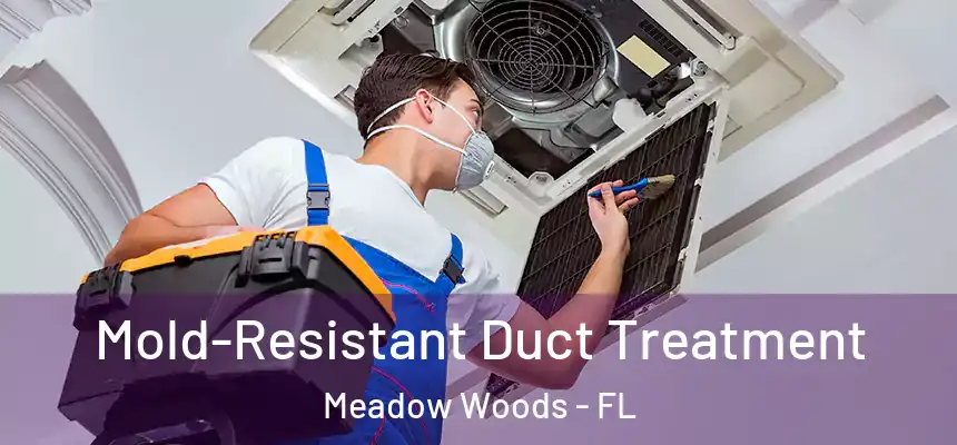 Mold-Resistant Duct Treatment Meadow Woods - FL