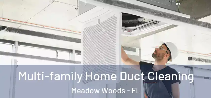 Multi-family Home Duct Cleaning Meadow Woods - FL