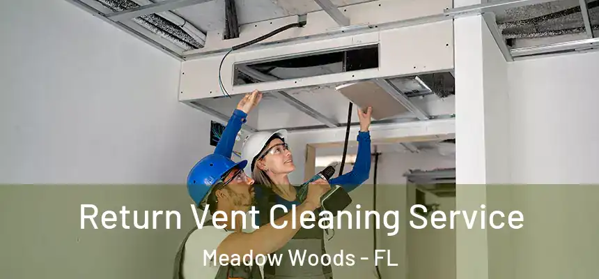 Return Vent Cleaning Service Meadow Woods - FL