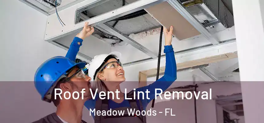 Roof Vent Lint Removal Meadow Woods - FL