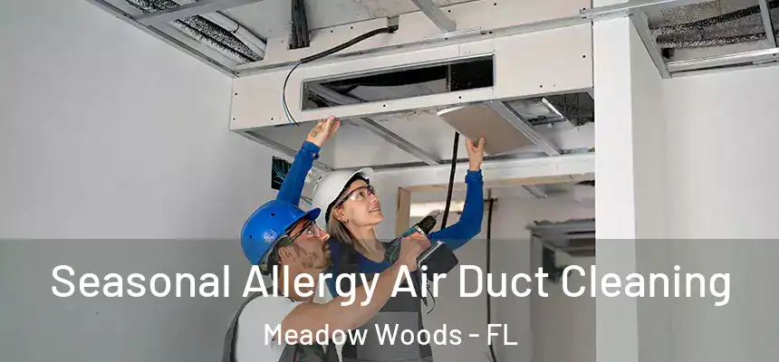 Seasonal Allergy Air Duct Cleaning Meadow Woods - FL