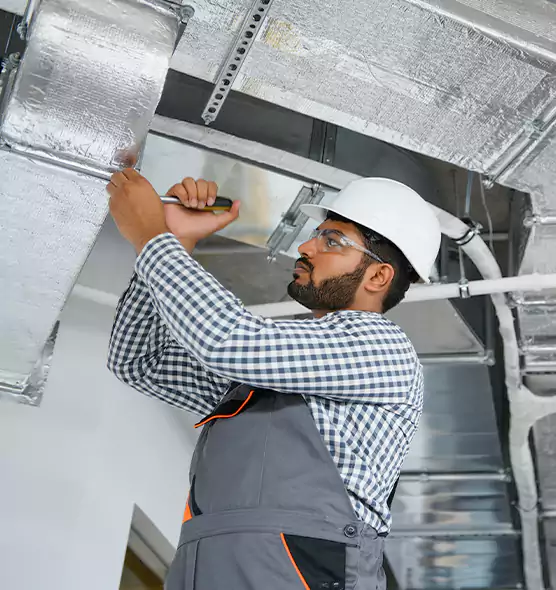 Welcome to Mold & Mildew Removal from Air Ducts Meadow Woods, FL