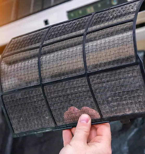 About Pet Dander Duct Cleaning in Meadow Woods, FL