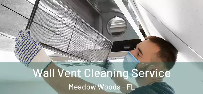 Wall Vent Cleaning Service Meadow Woods - FL